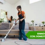 ccnl domestici
